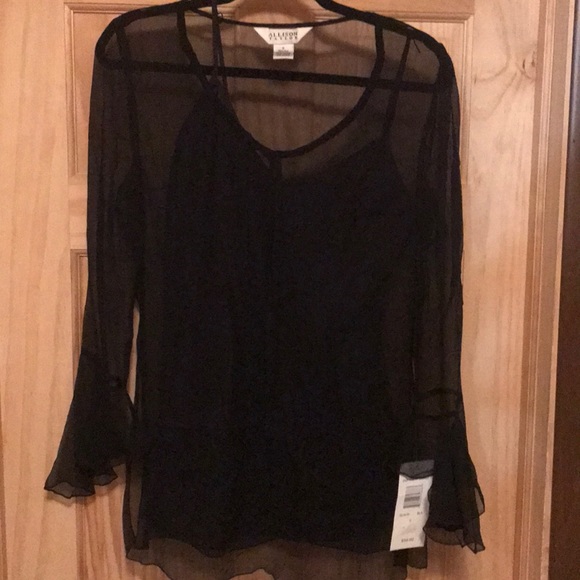 Allison Taylor Tops - Allison Taylor Sheer Top W/ Matching Camisole